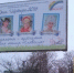 mamy raznye 2016 - Администрация г. Орёл
