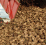 Горький привкус орловского сладкого бизнеса - Орловский Вестник