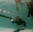 Дайвинг-клуб ДИВО намерен провести соревнования по народной подводной стрельбе - InfoOrel.Ru