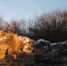снег - OrelGrad.Ru