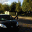 ДТП - OrelGrad.Ru