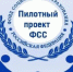 Более 270 орловцев получили выплаты по новой системе – напрямую от соцстраха - Орловское информбюро
