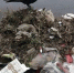 мусор - OrelGrad.Ru