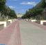 День города на улицах Орла - Орловское информбюро