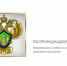 От наказания к профилактике - Орловское информбюро