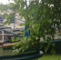 теплоходы речные - OrelGrad.Ru