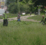 покос травы - OrelGrad.Ru