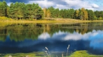Некстати