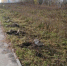 Метро - OrelGrad.Ru