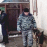 Орловские полицейские разыскивают аферистов, обокравших двоих пожилых орловчанок - Орловское информбюро