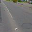 Городская - OrelGrad.Ru