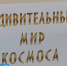 В Орле состоялся космический флешбук для школьников и студентов - Орловское информбюро