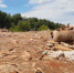 photo_2018-07-02_13-17-03 - OrelGrad.Ru