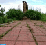 Орловцев приглашают принять участие в уборке мемориала, посвященного героям Великой Отечественной войны - Орловское информбюро