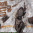 thumb_59499_news_big - OrelGrad.Ru