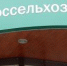 Россельхозбанк запустил новую программу инвестиционного кредитования - ТПП