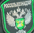 В Мценском районе физлицо оштрафовали за заросший сорняками земельный участок - InfoOrel.Ru
