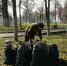 20190420 20190420 095203 - Администрация г. Орёл