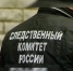 Орловский СК возбудил дело в отношении амчанина из-за гибели его жены - Орёл-регион