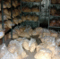 «Заветная мечта» привела ИП к штрафу и утилизации молочной продукции - InfoOrel.Ru