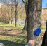 Ни дня без спорта: как орловчане тренируются в условиях пандемии - Телерадиокомпания Истоки