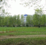 медведевский лес опушка - Городская Газета