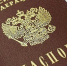 В Орловской области труженица тыла и бывшая узница концлагеря получили российское гражданство - Орловское информбюро
