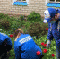 В Орле продолжается акция «Палисадник Победы» - Орловское информбюро