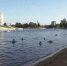 В Орле на городском пляже купаться запрещено! - Орловское информбюро