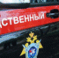 Проводится доследственная проверка по факту смерти малолетнего ребенка - Следственный комитет