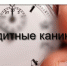 Выйти из кредитных каникул – без просрочек и штрафов - ТПП