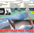 «ГРЕХОПАДЕНИЕ» ОЛЬГИ ЧИЖМИНОЙ - Орловская среда