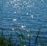 lake-1481148_1280 - Городская Газета