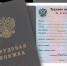 elektronnaya_trudovaya - Городская Газета