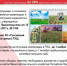 АО "Российский экспортный центр" приглашает за субсидиями - Msb-Orel.Ru