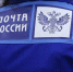 Подключить новые цифровые услуги Почты России можно не выходя из дома - Орёл-регион