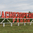 Поздравление в адрес краснозоренцев - Совет народных депутатов