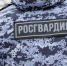 Орловская Росгвардия задержала двух магазинных похитителей - Орловское информбюро