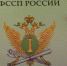 Орловские приставы пресекли пронос в суды более 1 000 запрещенных предметов - Орловское информбюро
