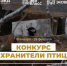 Орловцев пригласили изготовить кормушки для птиц из вторсырья - InfoOrel.Ru