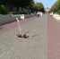 На улице Ленина провалился люк - OrelGrad.Ru