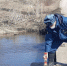 Вода отступает от орловских низководных мостов - Орловское информбюро