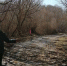 В Орловской области все все низководные мосты освободились от воды - Телерадиокомпания Истоки