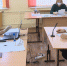 Орловские девятиклассники сегодня сдавали экзамен по русскому языку - Орловское информбюро