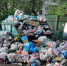 Мэрия Орла потратит на «борьбу с мусором» 5 млн рублей - OrelGrad.Ru