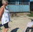 Соцконтрактом для создания личного подсобного хозяйства воспользовались 33 орловца - InfoOrel.Ru