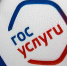 Дистанционно проголосовать на выборах смогут 10 млн россиян - InfoOrel.Ru