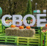 В Орле проходит фермерский фестиваль «СВОЁ». Фоторепортаж - Орёл-регион