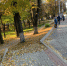 IMG_0037 - OrelTimes.Ru