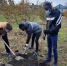 В Свердловском районе Орловской области появилась Аллея дружбы - Орловское информбюро